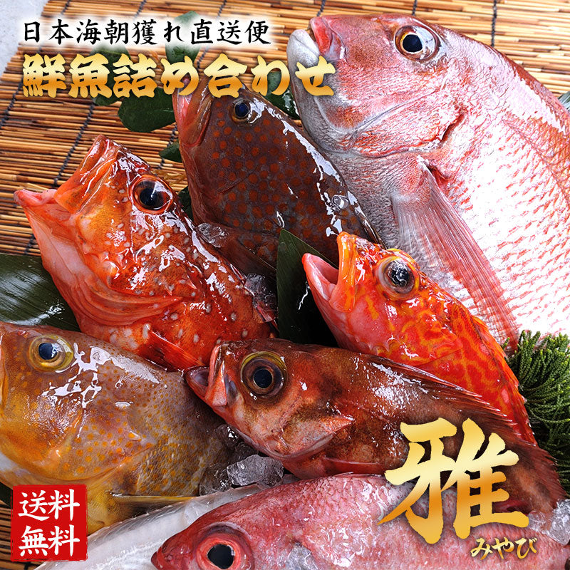 (雅) 達人が選ぶ究極の鮮魚詰め合わせ 10,000円セット