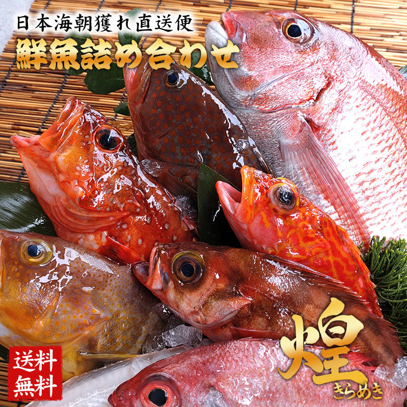 (煌) 達人が選ぶ究極の鮮魚詰め合わせ15,000円セット