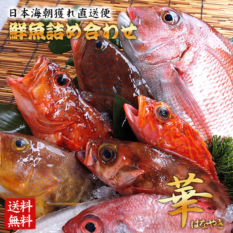 (華)　魚介類の詰め合わせ 7,980円セット