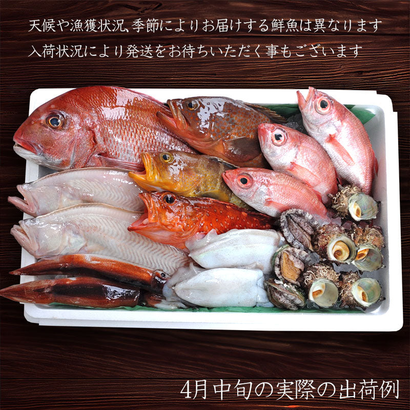 (煌) 達人が選ぶ究極の鮮魚詰め合わせ15,000円セット