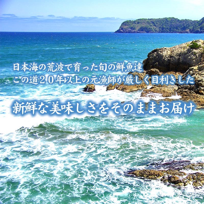 (煌) 達人が選ぶ究極の鮮魚詰め合わせ15,000円セット