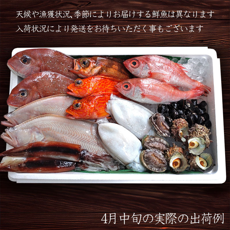 (雅) 達人が選ぶ究極の鮮魚詰め合わせ 10,000円セット