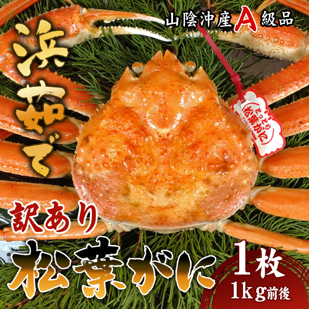 【訳あり品!】 松葉ガニ ボイル 1kg前後 1枚