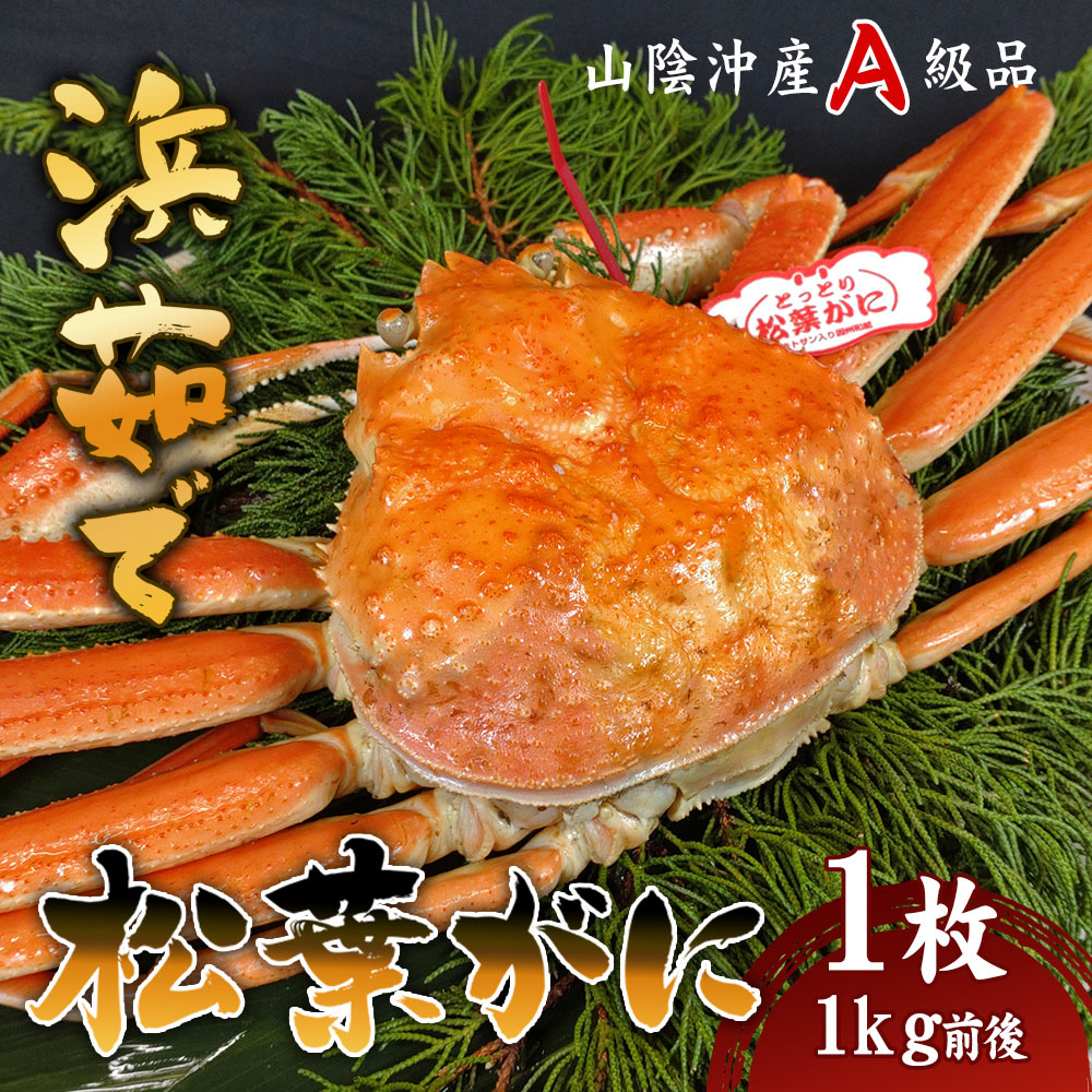 【安心と信頼のタグ付き】 松葉ガニ ボイル 1kg前後 1枚