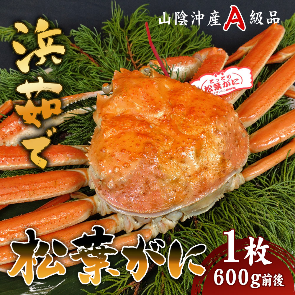 【安心と信頼のタグ付き】 松葉ガニ ボイル 600g前後 1枚