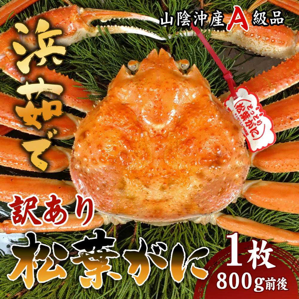 【訳あり品!】 松葉ガニ ボイル 800g前後 1枚