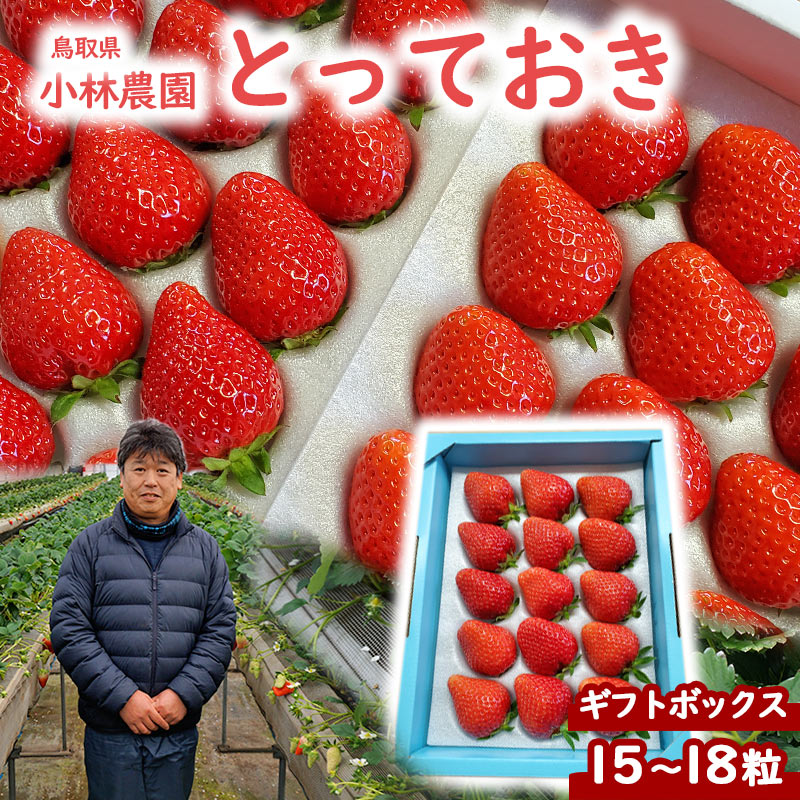完全予約販売】 小林農園 わかば農法イチゴ とっておき 送料無料