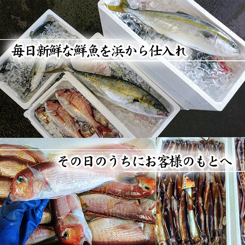 (煌) 達人が選ぶ究極の鮮魚詰め合わせ15,000円セット