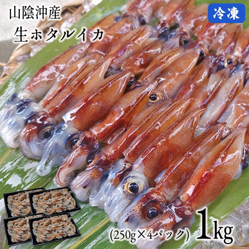 生ホタルイカ(プロトン凍結) 1kg(250g×4パック)※A級