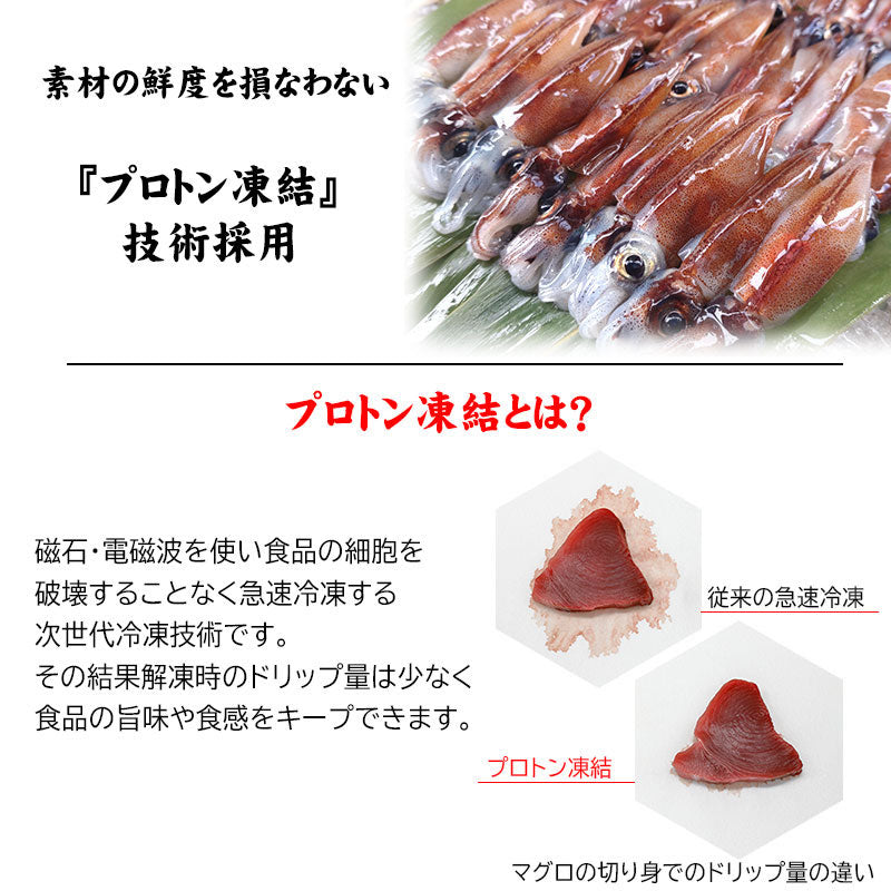 生ホタルイカ(プロトン凍結) 1kg(250g×4パック)※A級