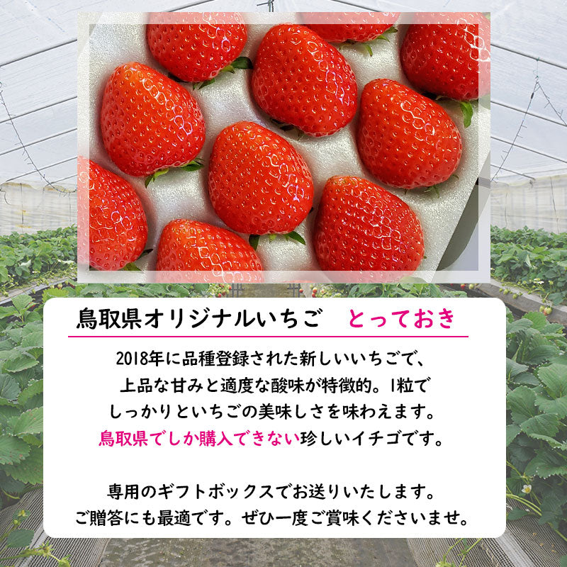 苺畑さん専用 完全予約販売】 小林農園 わかば農法イチゴ とっておき 送料無料